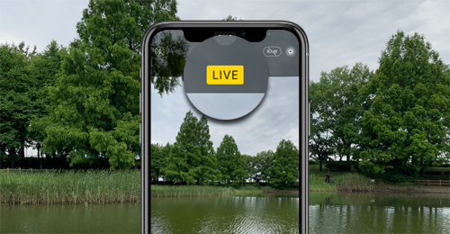 iPhoneで「Live Photos」を撮影する