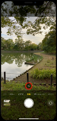 iPhone 11のカメラで[1x]をタップする