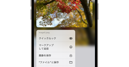 iPhoneのメールに添付されている写真・画像を保存する