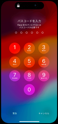 Face IDをオンにするにはパスコードが必要です