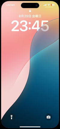iPhoneでパスコードの入力画面を表示する