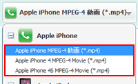 Any Video ConverterでiPhoneの動画形式を選択する
