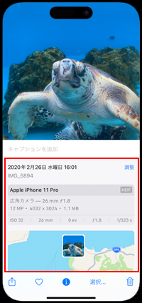 iPhoneで重複している写真・動画のファイル形式や解像度を確認する