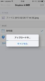 iPhoneから写真・動画をDropboxにアップロードする