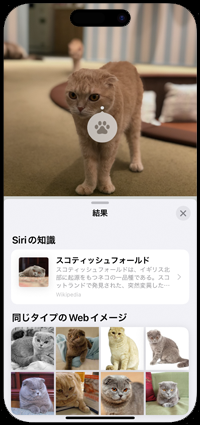 iPhoneで犬や猫の画像から種類・名前を調べる