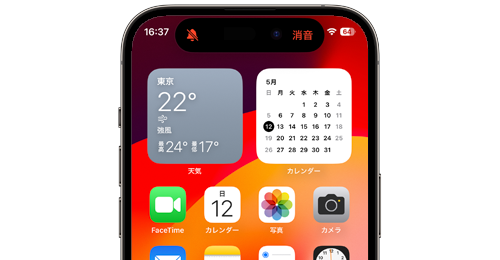 iPhoneでスクショの音を消す方法