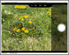 iPhoneの「カメラコントロール」ボタンでフォーカス/露出(AF/AE)を固定する