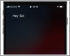 iPhoneで「Hey Siri(ヘイシリ)」を設定する