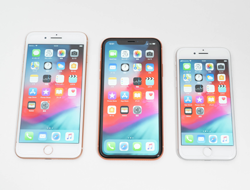 「iPhone XR」と「iPhone 8 Plus」と「iPhone」のサイズ比較